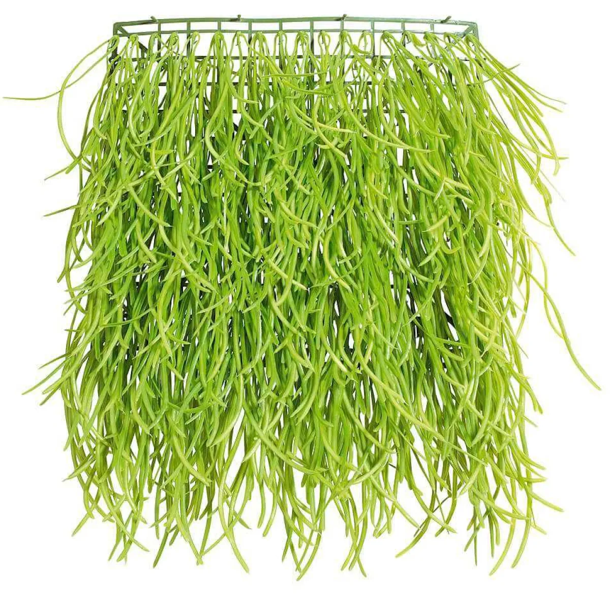 Discount DecoWoerner Künstliches Gras-Paneel 30 X 30 Cm grün