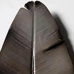 Best DecoWoerner Künstliches Strelizienblatt 108 Cm grün