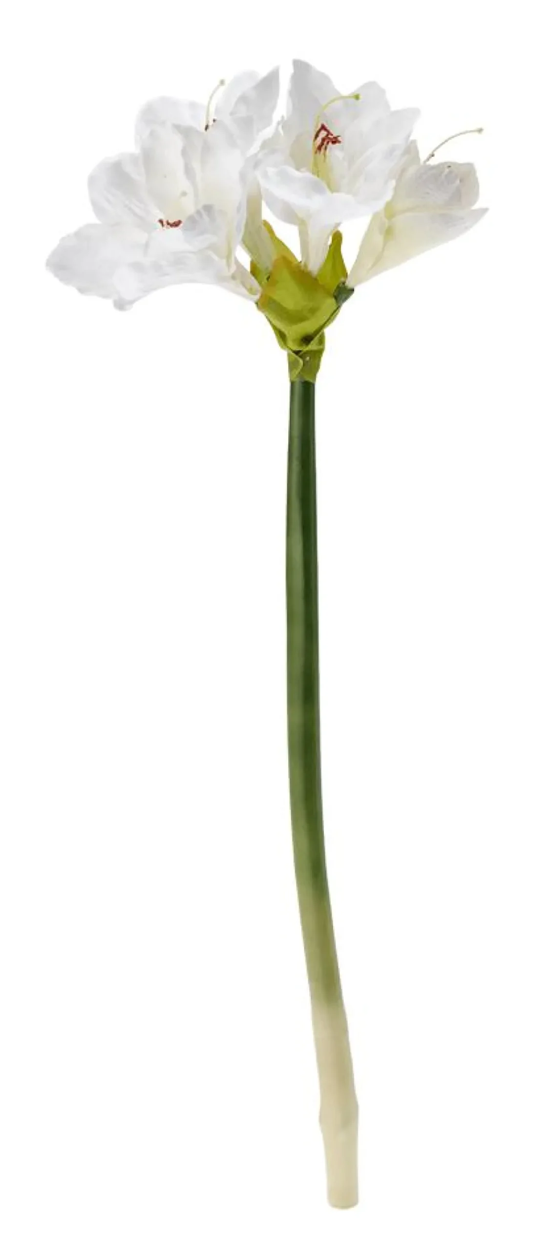 DecoWoerner Kunstblume Amaryllis , 60 Cm weiß