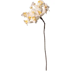 Sale DecoWoerner Kunstblume Frangipani 85 Cm weiß