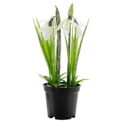 Sale DecoWoerner Kunstblume Schneeglöckchen Im Topf, 20 Cm Hoch weiß