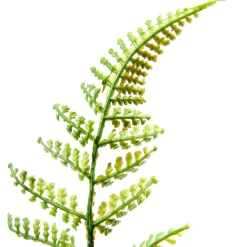Discount DecoWoerner Kunstfarn Pick 30 Cm Ø grün