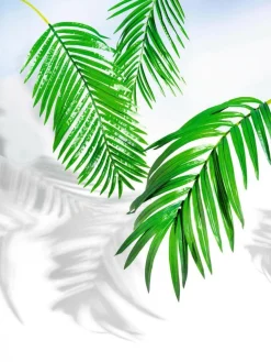 New DecoWoerner Kunstpalmen-Areca-Wedel, 98 Cm grün