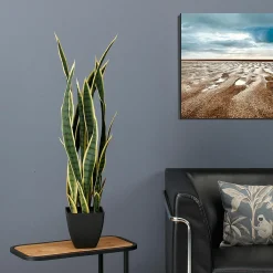 Discount DecoWoerner Kunstpflanze Bogenhanf 85 Cm grün