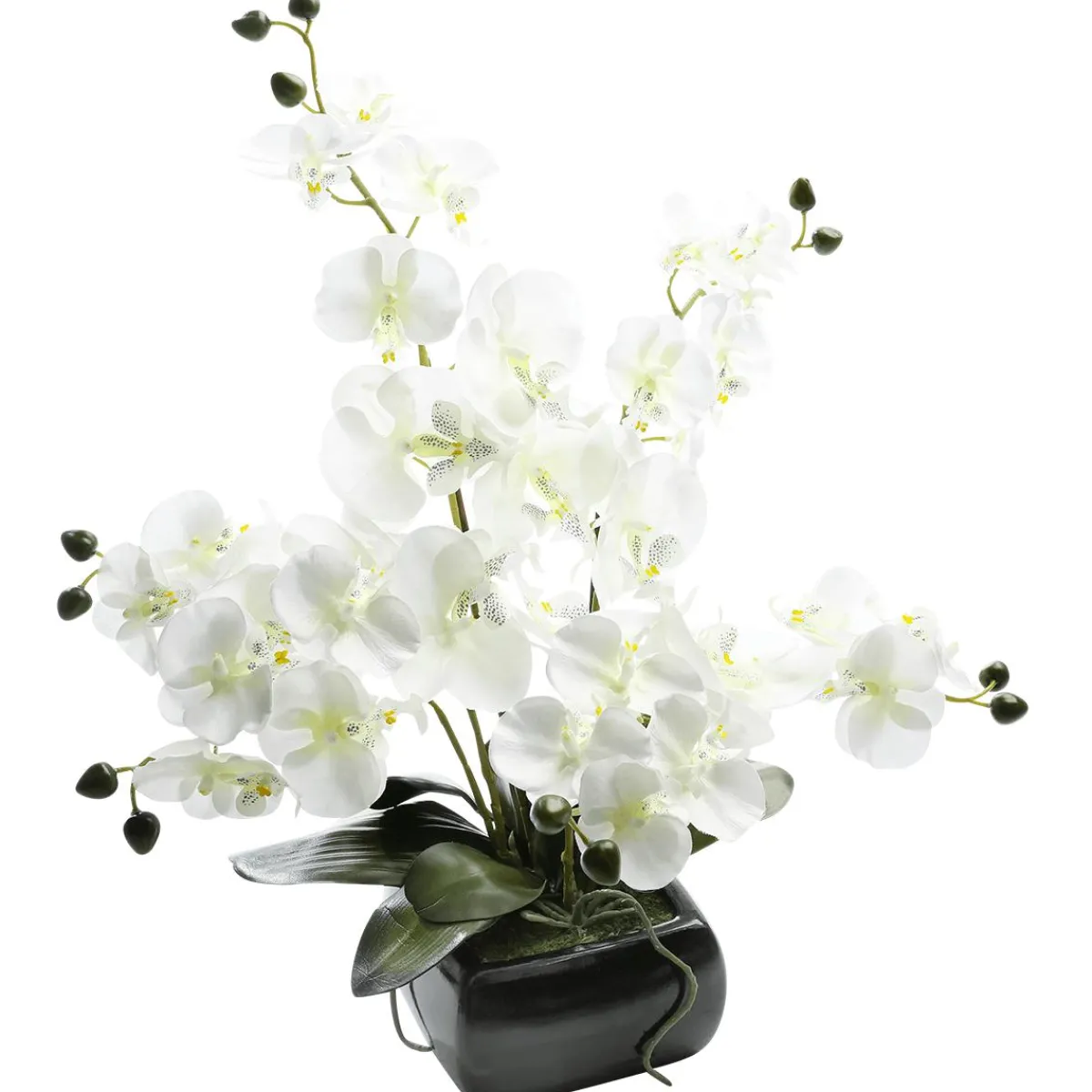 Sale DecoWoerner Kunstpflanze Orchidee In Schale , 40 Cm weiß