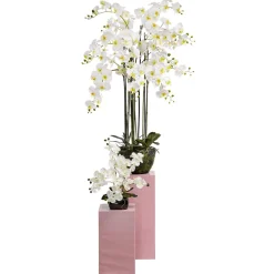 Sale DecoWoerner Kunstpflanze Orchidee In Schale , 40 Cm weiß