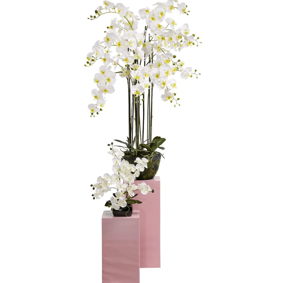 Sale DecoWoerner Kunstpflanze Orchidee In Schale , 40 Cm weiß