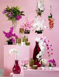 Sale DecoWoerner Kunstpflanze Orchidee In Schale , 40 Cm weiß