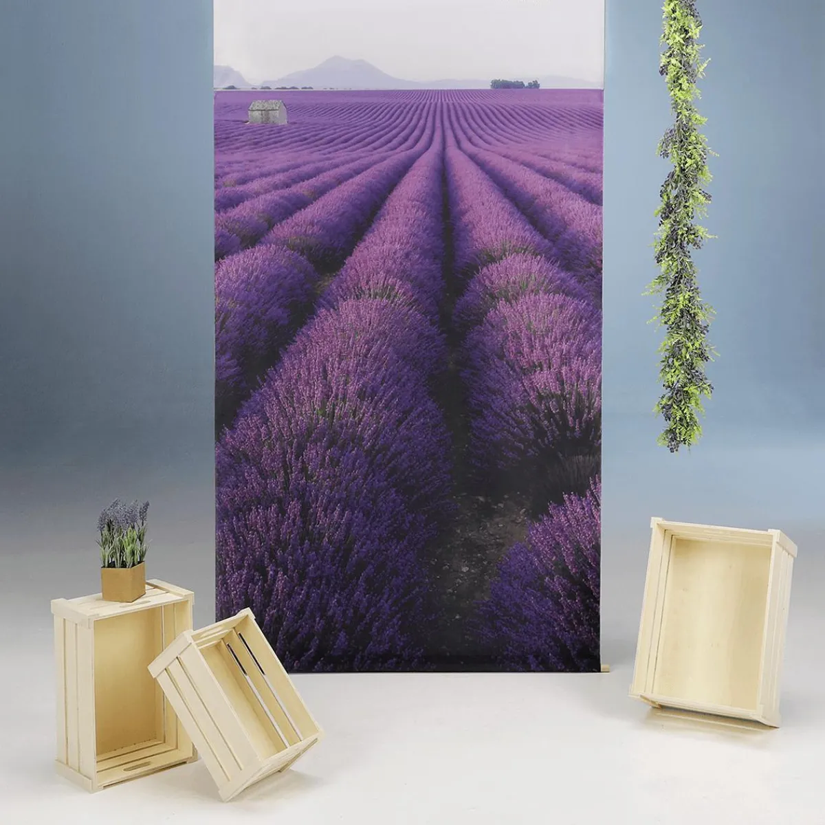 Hot DecoWoerner Lavendel Deko-Sparpaket Provence