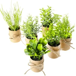 Outlet DecoWoerner Mini Kräuter Im Topf Set à 6 Stück grün