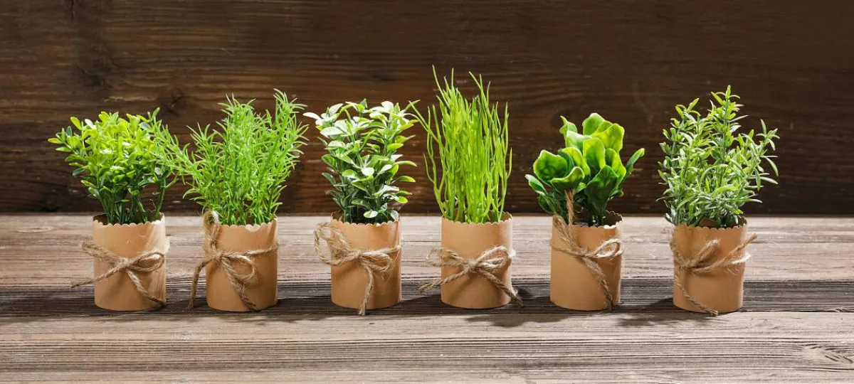 Outlet DecoWoerner Mini Kräuter Im Topf Set à 6 Stück grün