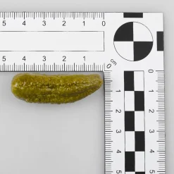New DecoWoerner Mixed-Pickles Lebensmittel-Attrappe mehrfarbig