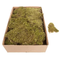 Outlet DecoWoerner Moos-Matten, Moos-Platten 2 Kg grün