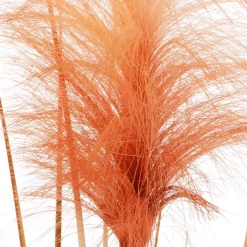 Hot DecoWoerner Gefärbtes Deko-Pampasgras Im Schwarzen Topf 117 Cm orange