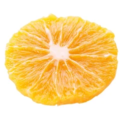 Outlet DecoWoerner n Scheibe Lebensmittel-Attrappe 5 Cm Ø orange