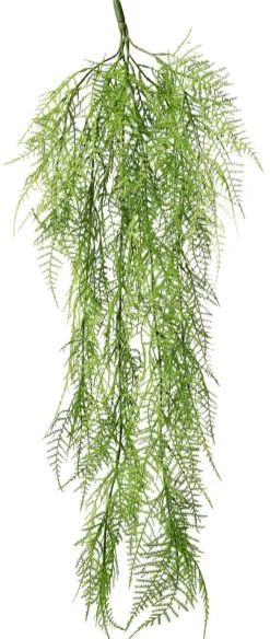 Hot DecoWoerner Pflanzenhänger Schleier Zierspargel 80 Cm grün