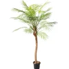 Outlet DecoWoerner Phoenix Kunstpalme Im Topf, 135 Cm