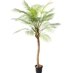Outlet DecoWoerner Phoenix Kunstpalme Im Topf, 135 Cm
