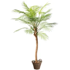 Outlet DecoWoerner Phoenix Kunstpalme Im Topf, 135 Cm