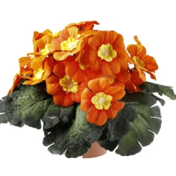 New DecoWoerner Primel Im Topf 19 Cm Ø orange