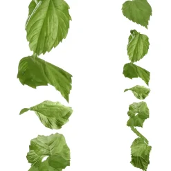 Best DecoWoerner Ranke Birkenblätter 160 Cm grün