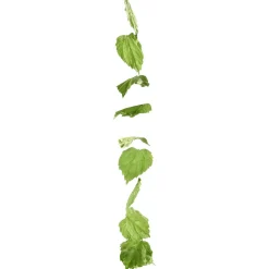 Best DecoWoerner Ranke Birkenblätter 160 Cm grün