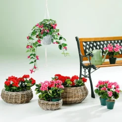 Hot DecoWoerner Rattan-Pflanzkorb-Set Rund, 3-teilig, Ø25cm X 12cm, Ø36cm X 14cm, Ø45cm X 22cm braun