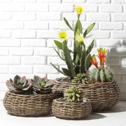 Hot DecoWoerner Rattan-Pflanzkorb-Set Rund, 3-teilig, Ø25cm X 12cm, Ø36cm X 14cm, Ø45cm X 22cm braun
