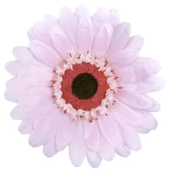 Online DecoWoerner Riesen-Gerbera-Blüte, 45 Cm Ø, rosa