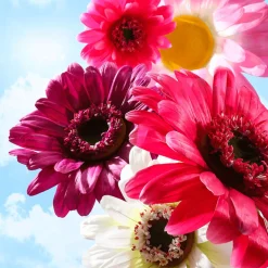 Best DecoWoerner Riesen-Gerbera-Blüte Lila, 45 Cm Ø violett