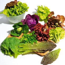 DecoWoerner Romana-Salatblätter Lebensmittel-Attrappe, Pack 6 Stück grün