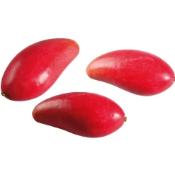 Online DecoWoerner e Mango Manila Super Lebensmittel-Attrappe, Pack à 3 Stück rot