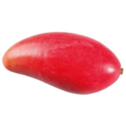 Online DecoWoerner e Mango Manila Super Lebensmittel-Attrappe, Pack à 3 Stück rot