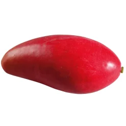 Online DecoWoerner e Mango Manila Super Lebensmittel-Attrappe, Pack à 3 Stück rot