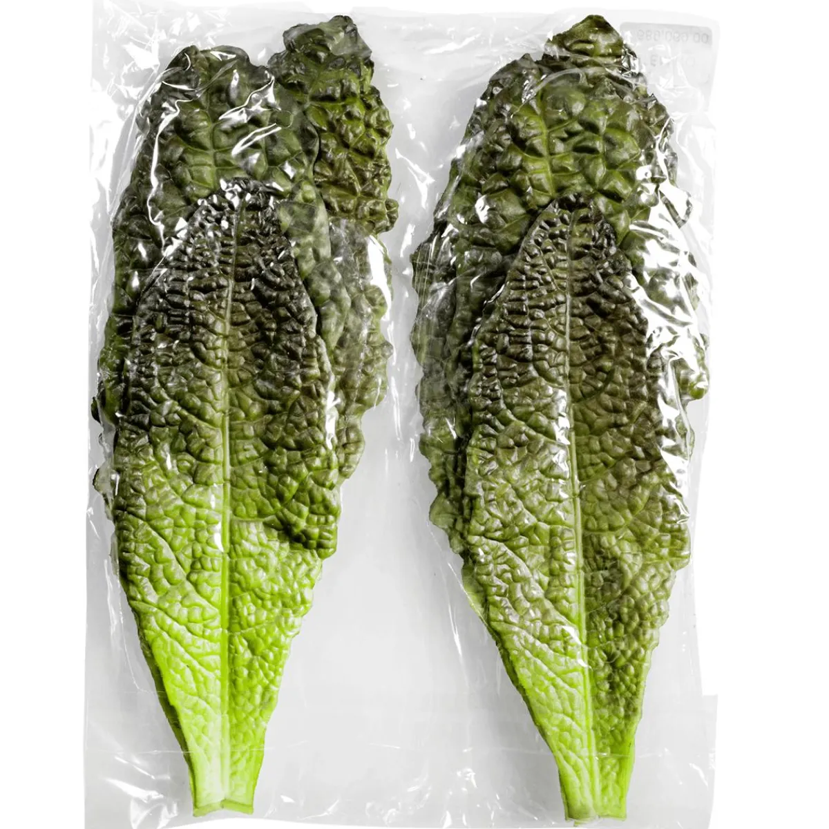 Sale DecoWoerner Salatblätter -rot Lebensmittel-Attrappe, Pack à 6 Stück grün