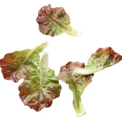 Online DecoWoerner Salatblätter Lebensmittel-Attrappe, Pack à 5 Stück braun