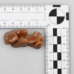 Best DecoWoerner Schoko Pralinen Lebensmittel-Attrappe, 50 Stück braun