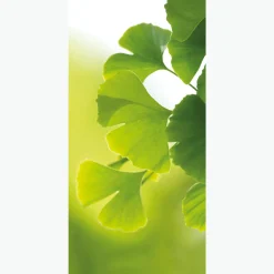 DecoWoerner Schwer Entflammbarer Stoffbanner "Ginkgo" Aus Fahnenstoff 100 X 200 Cm grün