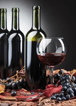 Clearance DecoWoerner Schwer Entflammbarer Stoffbanner "Rotwein" Aus Fahnenstoff 100 X 140 Cm schwarz