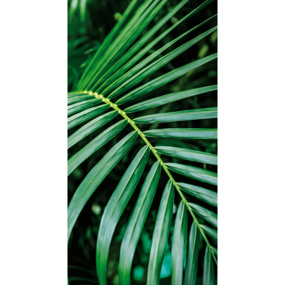 New DecoWoerner Schwer Entflammbarer Stoffbanner "Palmwedel" Aus Fahnenstoff 100 X 200 Cm grün
