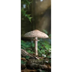 Discount DecoWoerner Schwer Entflammbarer Stoffbanner "Großer Pilz" Aus Fahnenstoff 75 X 180 Cm braun