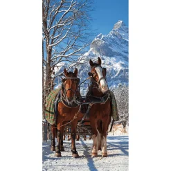 Hot DecoWoerner Schwer Entflammbarer Stoffbanner Pferdekutsche Im Schnee Aus Fahnenstoff 100 X 200 Cm braun