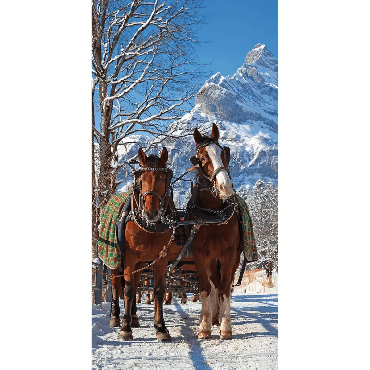Hot DecoWoerner Schwer Entflammbarer Stoffbanner Pferdekutsche Im Schnee Aus Fahnenstoff 100 X 200 Cm braun