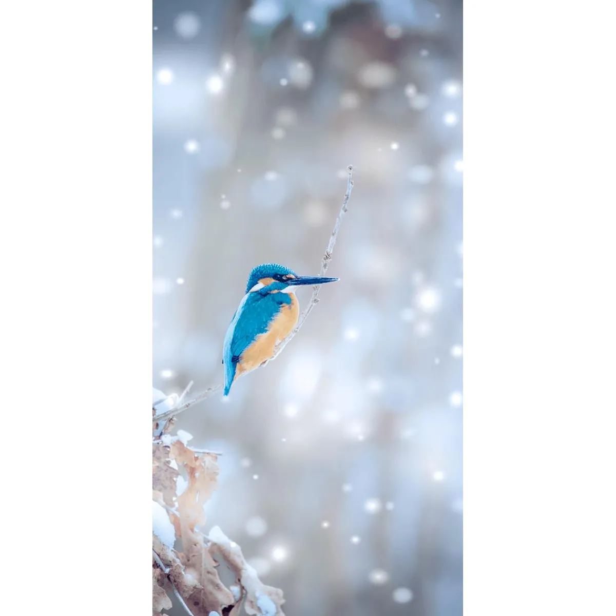 Clearance DecoWoerner Schwer Entflammbarer Stoffbanner "Eisvogel" Aus Fahnenstoff 100 X 200 Cm blau