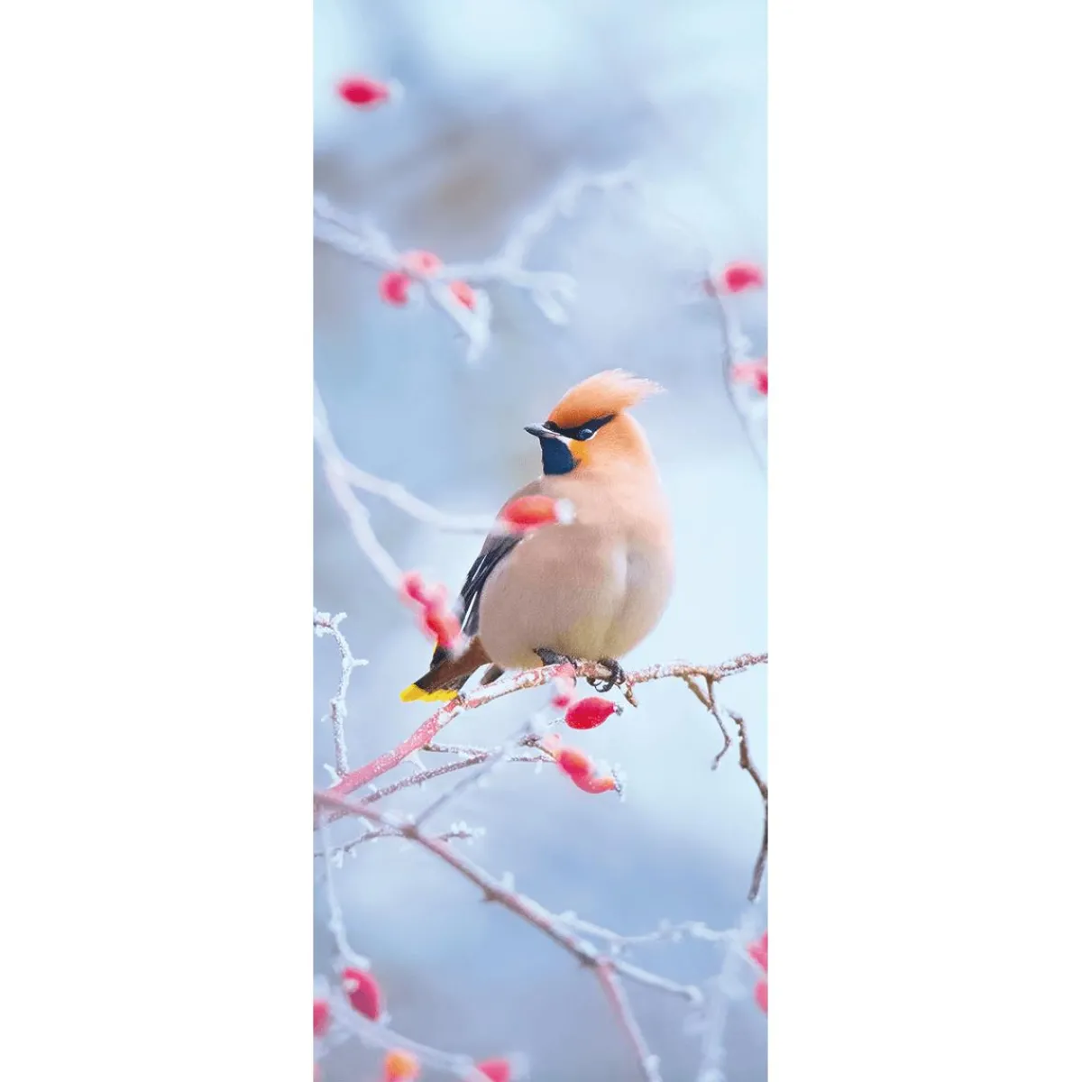 Hot DecoWoerner Schwer Entflammbarer Stoffbanner "Seidenschwanz-Vogel In Hagebutte" Aus Fahnenstoff 75 X 180 Cm braun