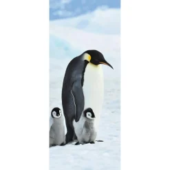Online DecoWoerner Schwer Entflammbarer Stoffbanner "Kaiserpinguin-Familie" Aus Fahnenstoff 75 X 180 Cm schwarz