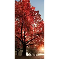 Discount DecoWoerner Schwer Entflammbarer Stoffbanner "er Herbstbaum" Aus Fahnenstoff 100 X 200 Cm rot