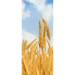 Clearance DecoWoerner Schwer Entflammbarer Stoffbanner "goldene Weizenähren" Aus Fahnenstoff 75 X 180 Cm gelb