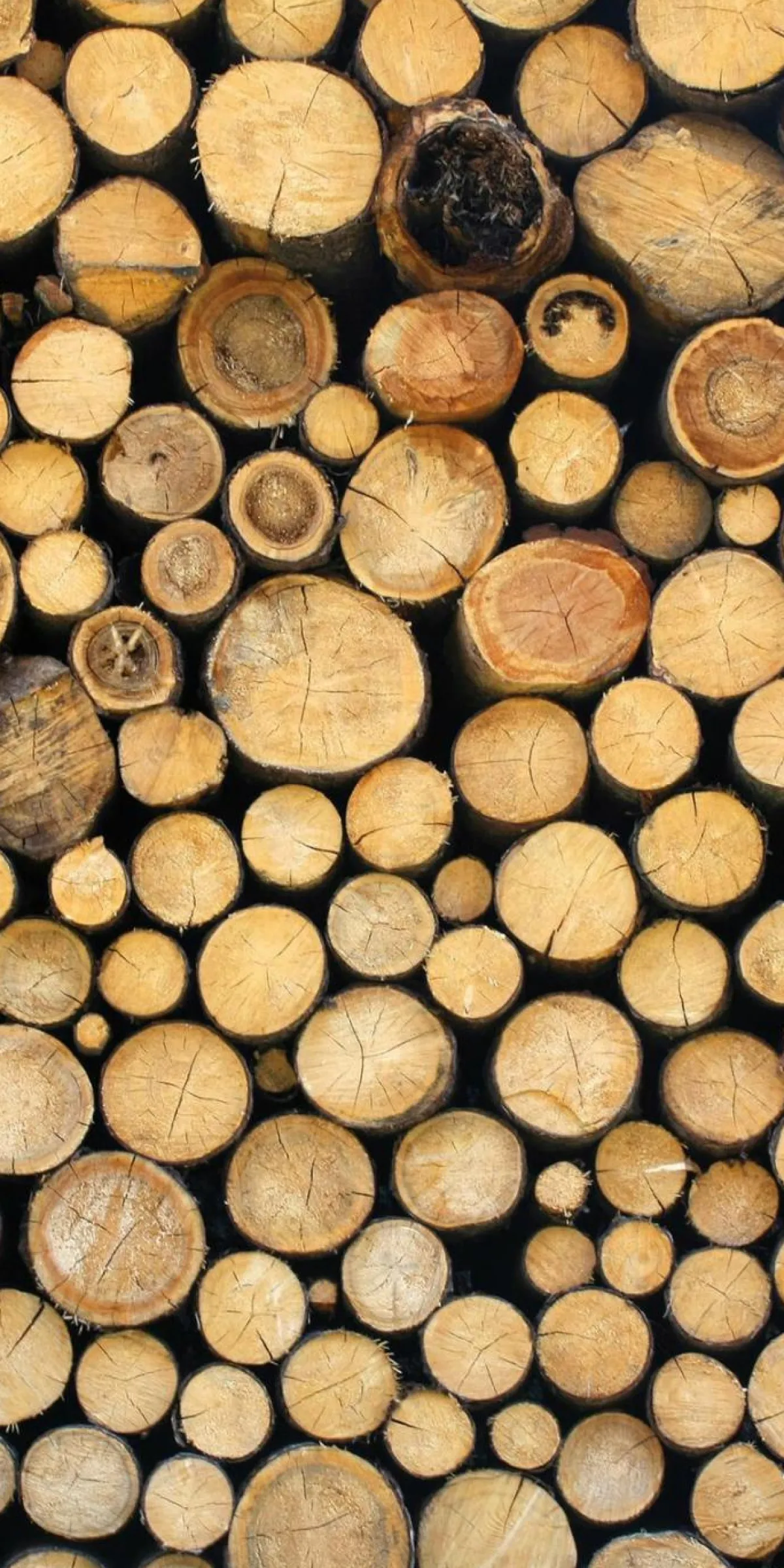 Hot DecoWoerner Schwer Entflammbarer Stoffbanner "Holzstapel" Aus Fahnenstoff 100 X 200 Cm braun