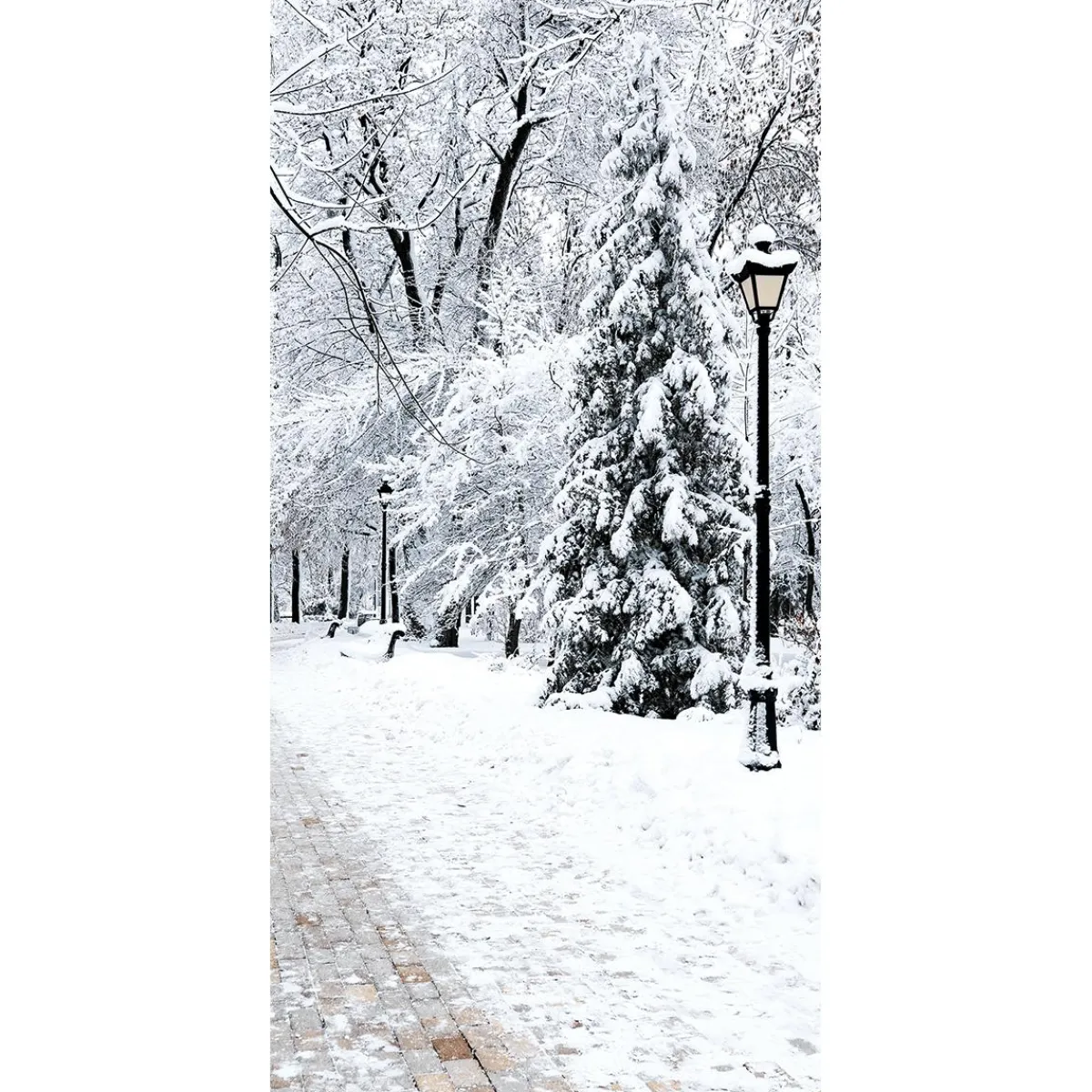 Sale DecoWoerner Schwer Entflammbarer Stoffbanner "Winterpark" Aus Fahnenstoff 100 X 200 Cm weiß